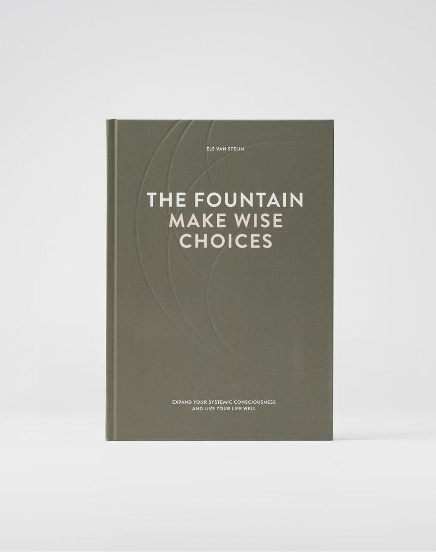 Els van steijn book fountain make wise choices 